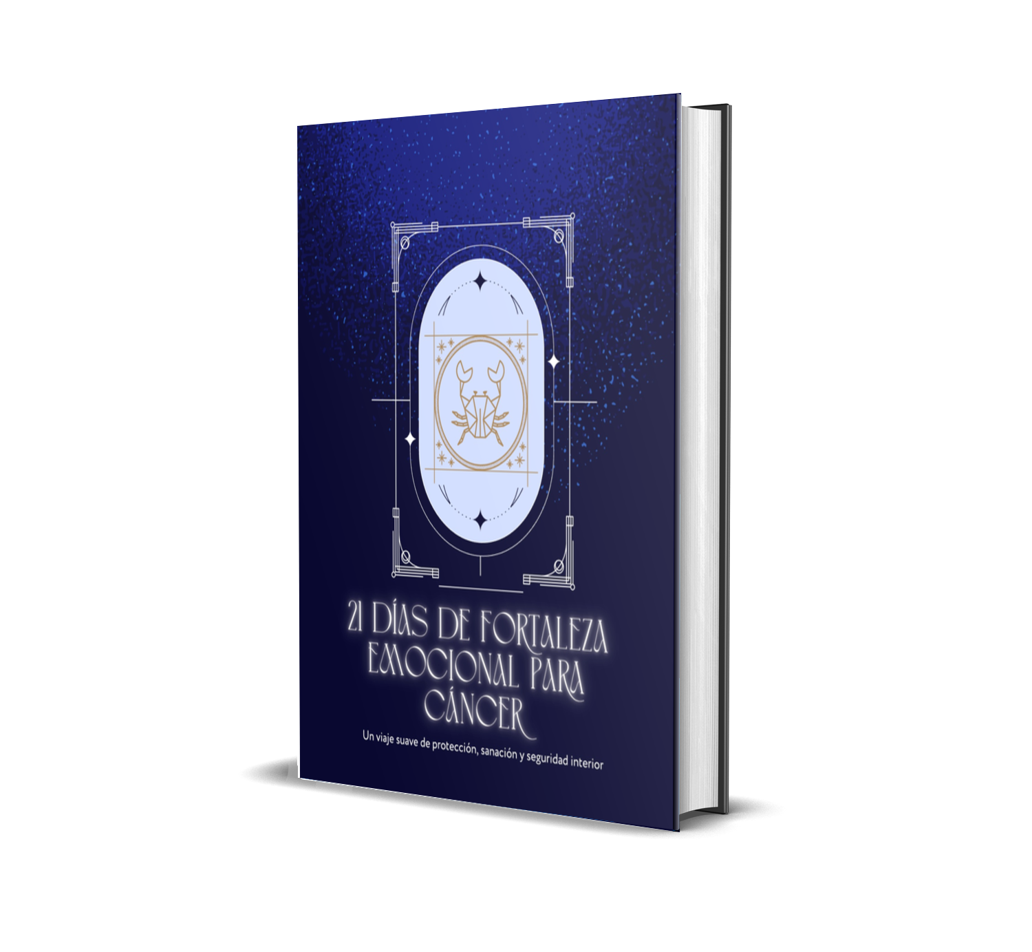 Planner de C&aacute;ncer