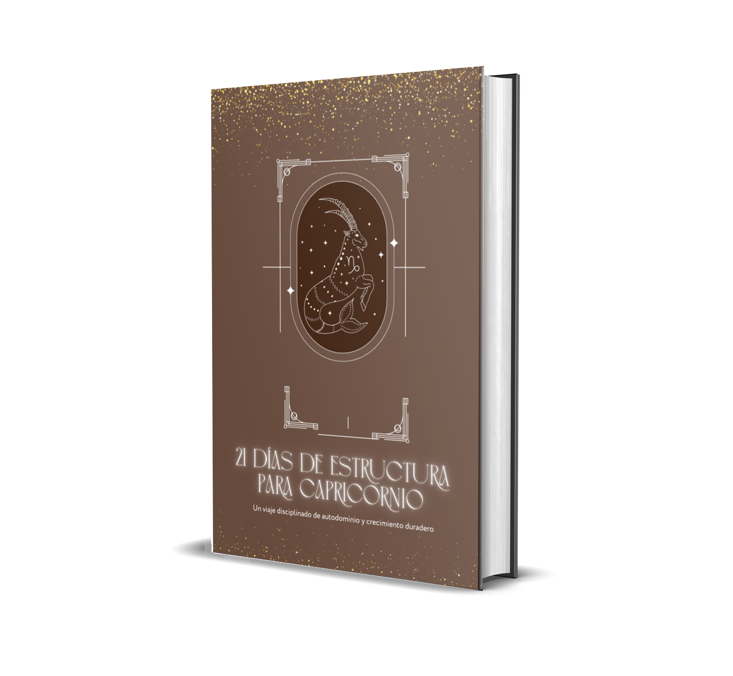Planner de Capricornio